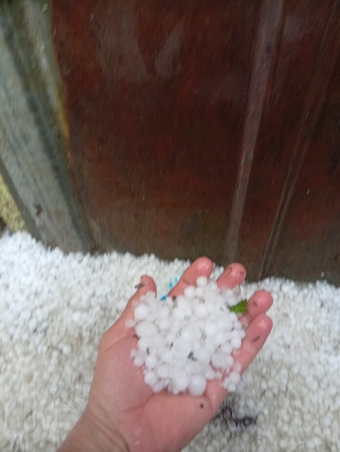 504412063_1013450544101122_4818112891229247483_n