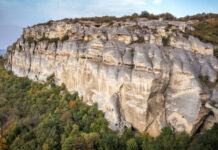 Затвориха парк в Шумен заради рядък хищник