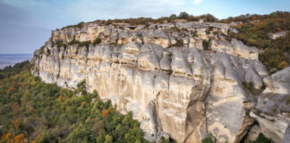 Затвориха парк в Шумен заради рядък хищник