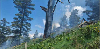 Пожар в Природния парк „Рилски манастир“