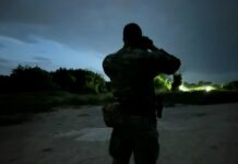 В Румъния са подали два сигнала за черната пантера, изчезнала от България