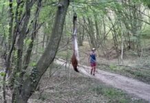 Мъж тича с кучето си покрай примамка за черната пантера. МВР: Опасно е!