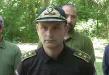 Свидетел твърди, че шуменската пантера пресякла пред колата му