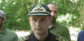 Свидетел твърди, че шуменската пантера пресякла пред колата му