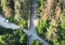 Продължава издирването на черната пантера край Шумен