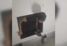 Хванаха 16 иракчани, укрити в тайник на хладилен камион