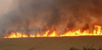 Голям пожар гори край Белово, спешно се търсят доброволци за борба с огъня