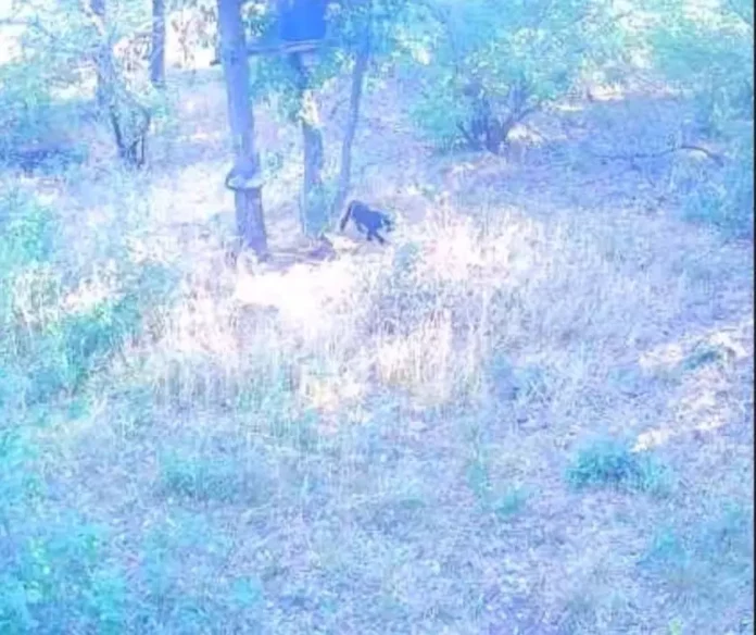 5a340a4051d42cb257b76986ea0215f4