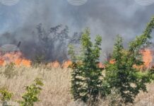 До момента са изгорели 25 къщи в бургаската местност Острицата, властите евакуират хората в района