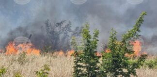 До момента са изгорели 25 къщи в бургаската местност Острицата, властите евакуират хората в района