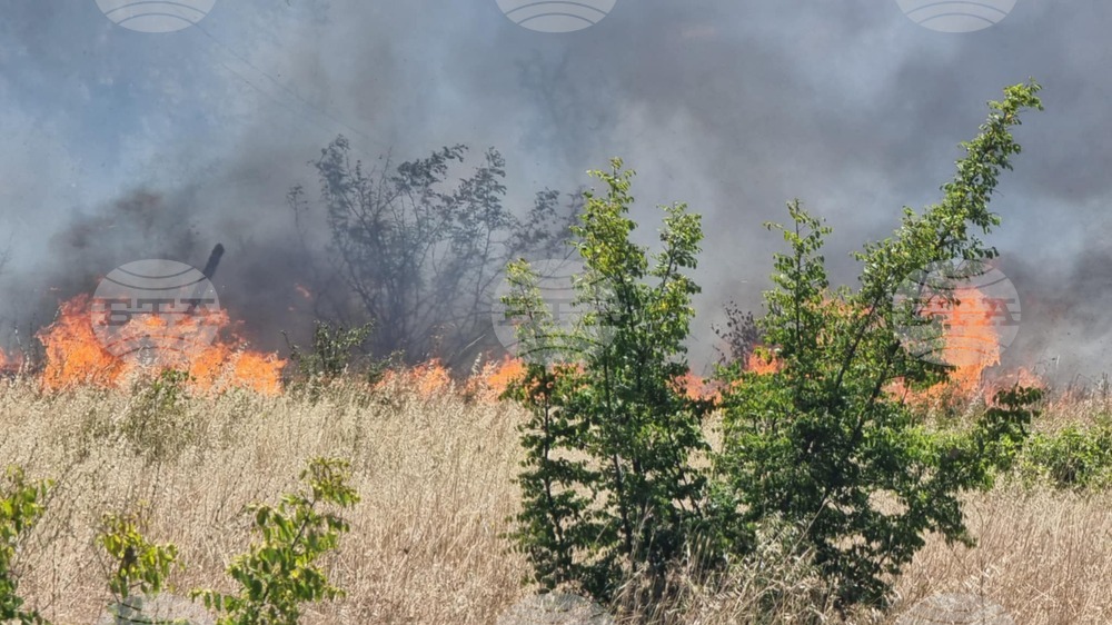 До момента са изгорели 25 къщи в местността местността Острицата