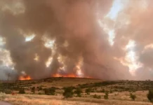 Огънят край Опицвет се разгоря отново – застрашени са помпена станция и детски онкоцентър