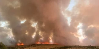 Огънят край Опицвет се разгоря отново – застрашени са помпена станция и детски онкоцентър