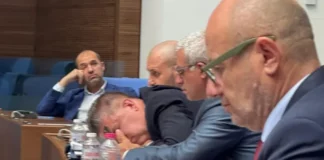 Манов, събуди се! Държавата кърви, а ти спиш!!!