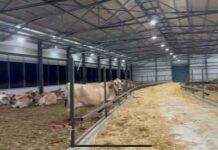 Мъж и жена са задържани за нелегалната фабрика за цигари, свързана с контрабандистите от аферата „Пудели и пачки“