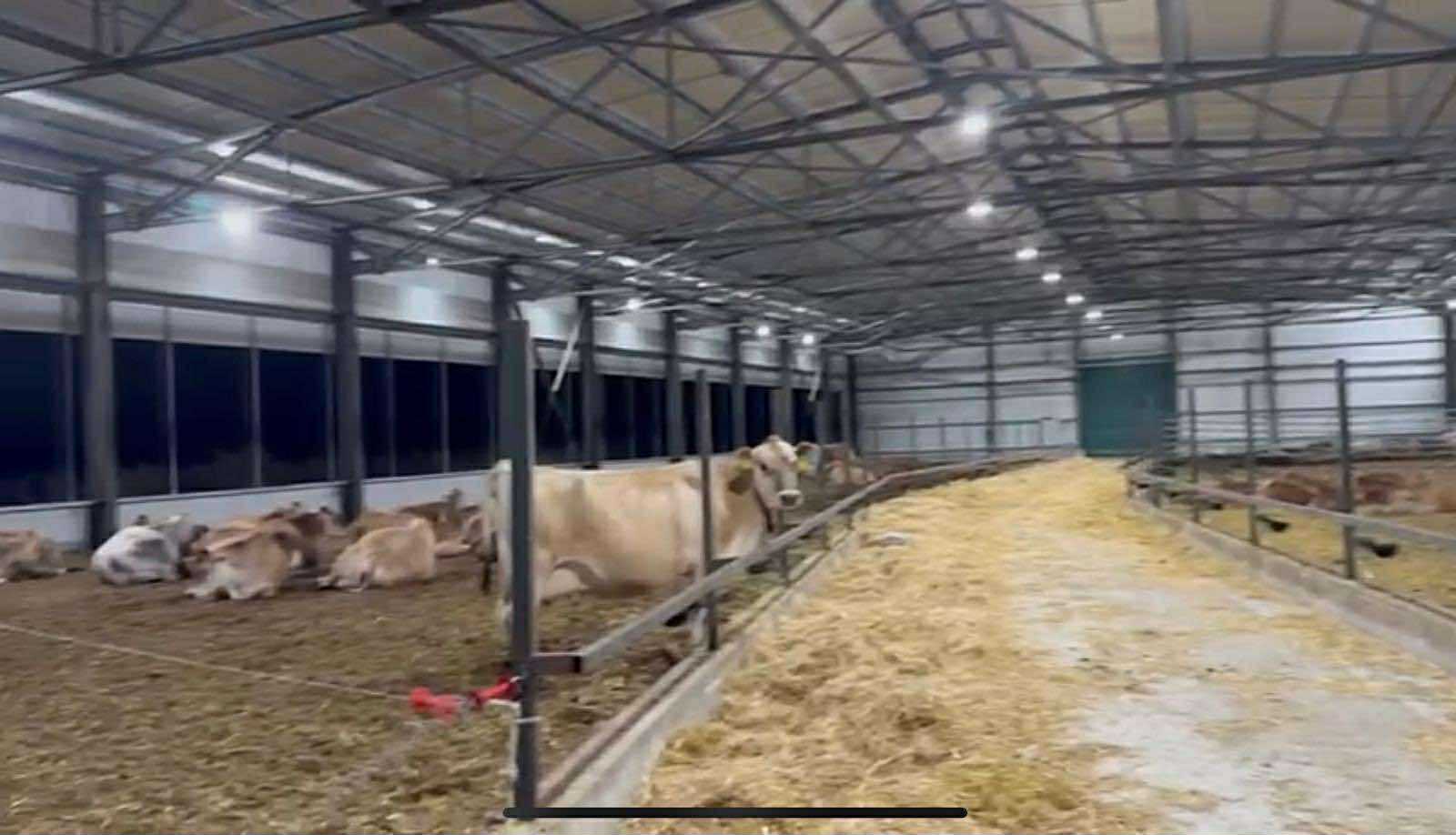 Мъж и жена са задържани при операцията на ГДБОП и