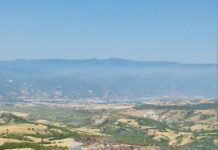 България иска помощ от ЕС заради пожара край Илинденци