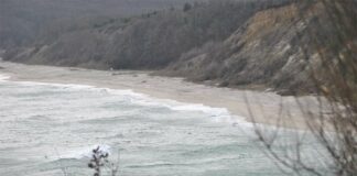 Глобиха двама шофьори, влезли с джипове на плажа край Паша дере