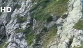 Туристи се изкъпаха в Рилските езера