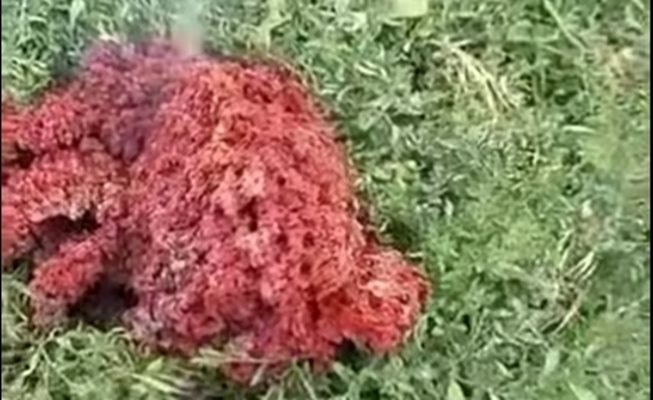 Изследванията на падналото от небето горящо меко тяло в частен