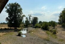 Река Лом пресъхна