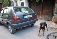 Арестуваха стопанина, влачил кучето си с кола в Банско