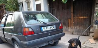 Арестуваха стопанина, влачил кучето си с кола в Банско