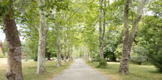 Министерският съвет отпуска 1,4 млн.лв. за стопанисване на парк „Врана“