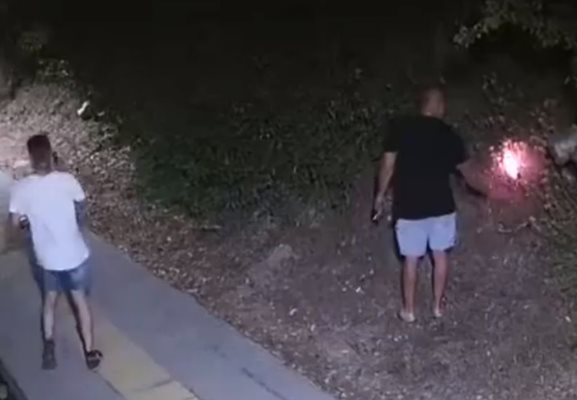 Пожарът между кварталите Бузлуджа и Чолаковци във Велико Търново е