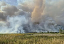 Затвориха участък от магистрала „Марица“ заради пожара в Сакар