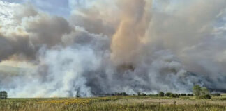 Хеликоптери от Франция, Унгария, Чехия и Словакия, както и самолети от Швеция се включват в гасенето на пожарите