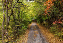 Заплатите в държавните горски и ловни стопанства ще бъдат увеличени със задна дата