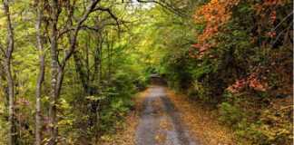 Заплатите в държавните горски и ловни стопанства ще бъдат увеличени със задна дата