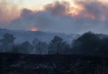 Голям пожар гори в района на Сакар планина