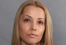 Разследват шефката на НАП във Велико Търново за хулиганство, повредила автомобил