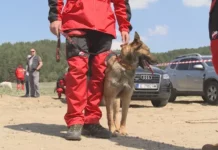 Планински спасители от снощи издирват румънски турист в района на връх Ботев