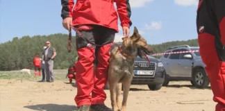 Планински спасители от снощи издирват румънски турист в района на връх Ботев