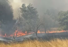 Задържаха мъж заради големия пожар край Българово
