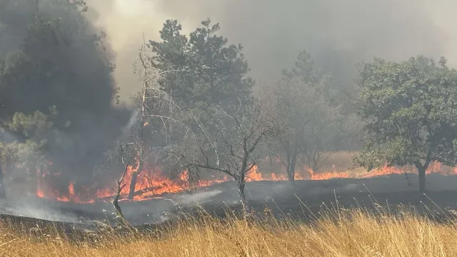 Мъж е задържан във връзка с пожара който избухна вчера