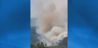 Пожар бушува край Якоруда