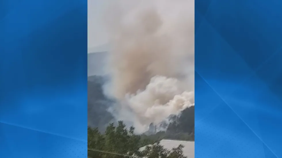 Пожар гори край Якоруда Пламъците бушуват в района на минералните