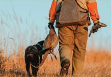 Утре стартира ловният сезон на пернат дивеч