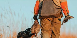 Утре стартира ловният сезон на пернат дивеч