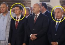 Гълъб и гарга край Радев