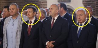 Гълъб и гарга край Радев