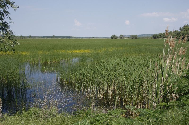 Пожар се разгоря на територията на защитена местност Калимок –