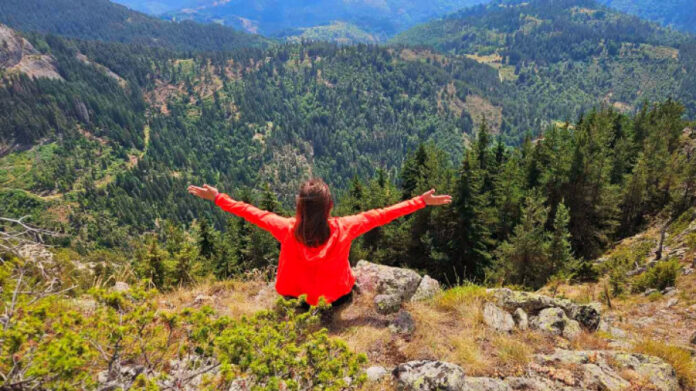 6d0881291e7a50cfbb5e8715627418f9