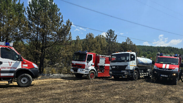 900a55918a45a36ef7331ae257409412