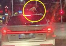 4-годишно дете се показа от люка на движещ се автомобил в Пловдив