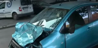 Стадо биволи предизвика катастрофа в София